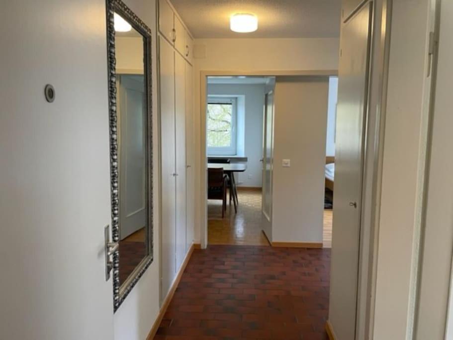 Appartement Cozy, Sunny, Center 1 Bedroom Flat Zürich