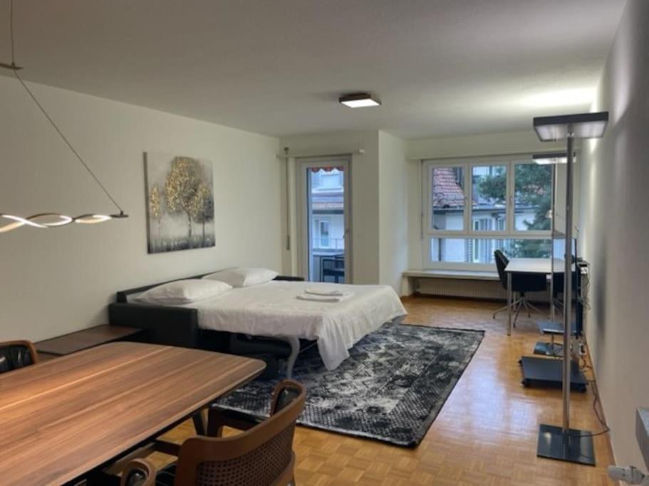 Cozy, Sunny, Center 1 Bedroom Flat Appartement